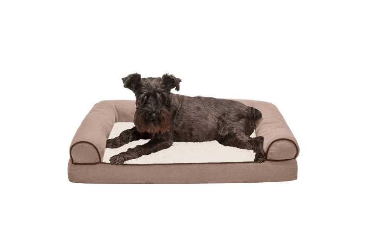 Constance dog outlet sofa